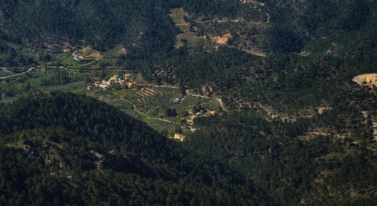 Casa Rural la Piedra del Cambrón Villaverde De Guadalimar Exterior foto